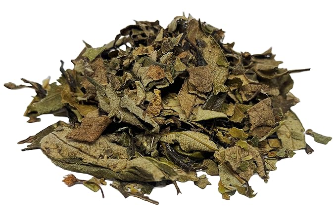 CIK Naturals Lungwort Herb Pulmonaria tea Herbal Infusions (100g) Zip-lock bag Pulmonaria officinalis