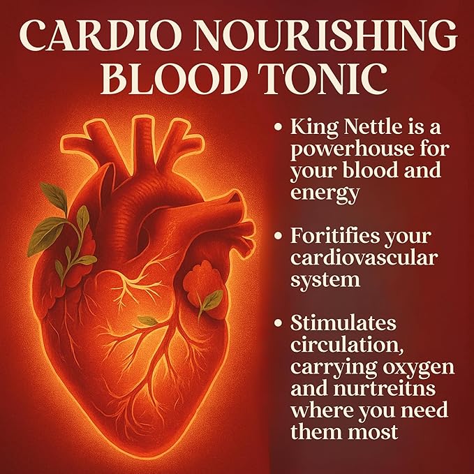 Four Visions Stinging Nettle Tincture (King Nettle) – Organic Liquid Herbal Supplement for Immune Support Prostate Health Hormone Balance &amp Daily Detox – Ortiga Verde Orgánica – 1 oz