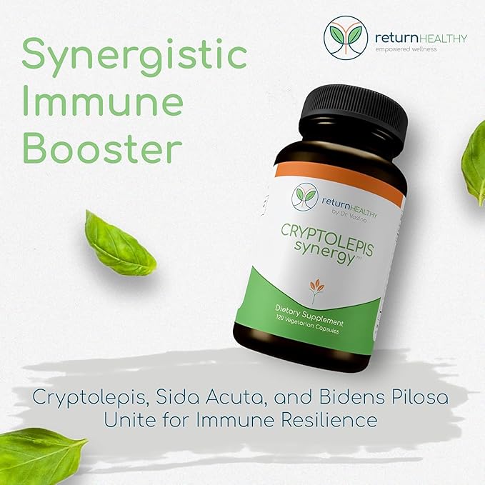 Cryptolepis Synergy Immune Support Vitamins Immune System Booster for Adults Liver Lymphatic &amp Immune Support Supplement Supports Lyme &amp Natural Parasite Defense 120 Capsules 3 Pack