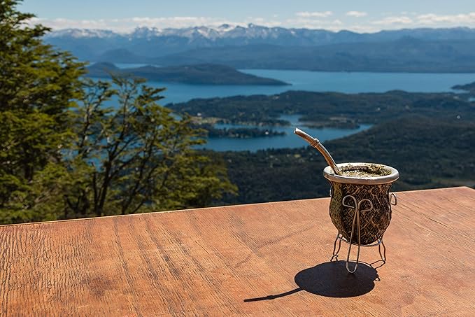 Yerba Mate Tea 1LB (16Oz) HI-CAFFEINE 100% CERTIFIED Organic SUPER-GREEN Yerba Mate | NO Dust | FRESH - NEVER Aged (Ilex Paraguariensis) | Brazilian Rain Forest Grown from U.S. Wellness Naturals | HI-