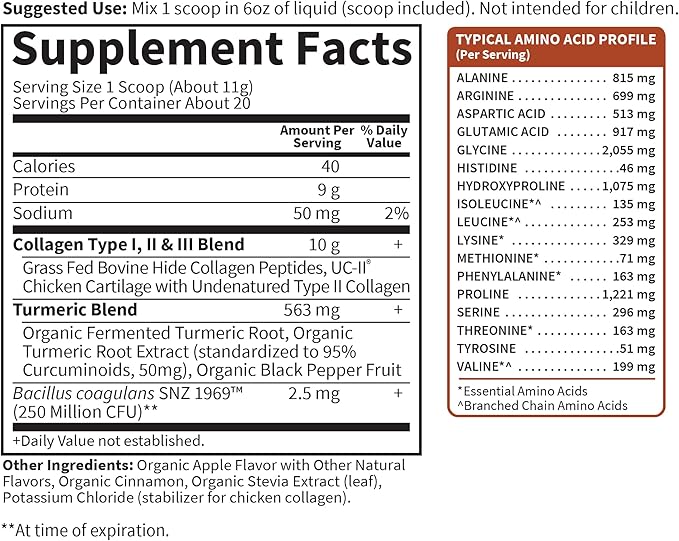 Garden of Life Multi-Sourced Collagen Peptides + Turmeric Powder - Apple Cinnamon 20 Servings for Women Men Joints Mobility Hydrolyzed Collagen Protein Powder Supplements