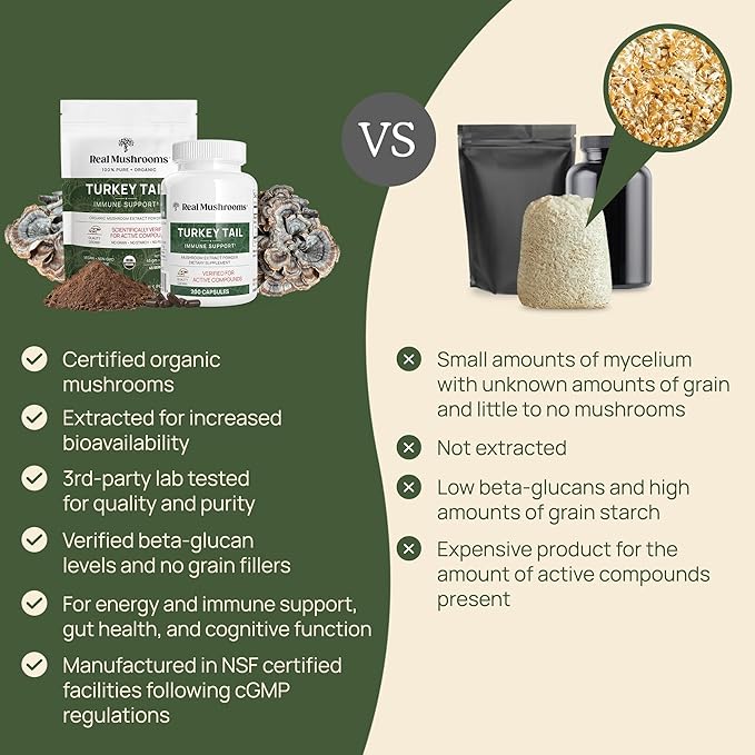 Real Mushrooms Turkey Tail Mushroom Powder – Organic Mushroom Extract for Daily Wellness Gut Harmony &amp Energy Support with Beta Glucans – Vegan Non-GMO 45 Servings Functional Supplement