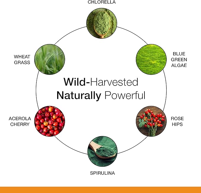 Dr. Schulze's Superfood 100 - Everyday Superfood Supplement to Support Overall Wellness - Multivitamin for Nutrition &amp Energy - Gluten &amp Dairy-Free - Citrus Pineapple Flavor Powder - 30 Servin