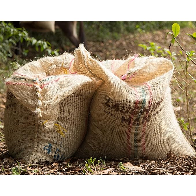 Laughing Man Ethiopia Sidama Keurig Single-Serve K Cup Pods Fair Trade Light Roast Coffee 88Count Ethiopia Sidama 22 Count (Pack of 4)
