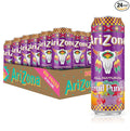 AriZona Fruit Punch - Big Can 22 Fl Oz (Pack of 24)