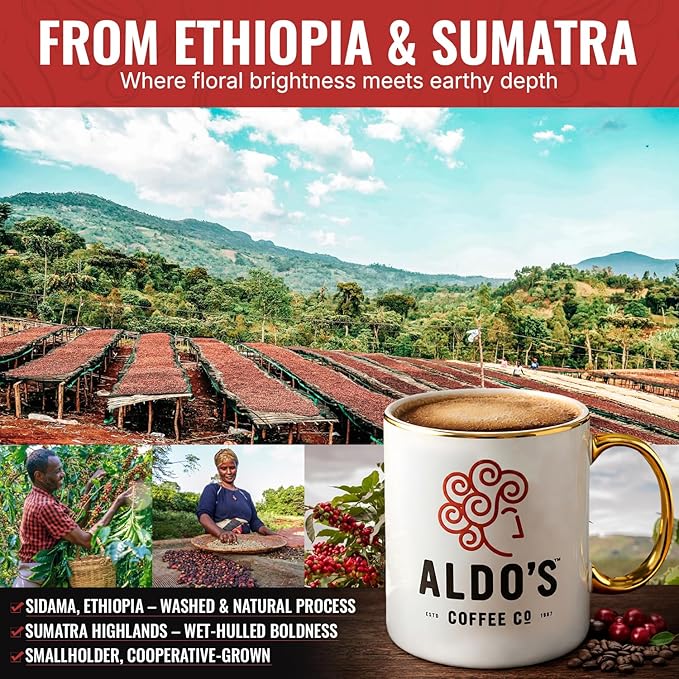 Aldo’s Orient Espresso – Organic Handcrafted Coffee Beans Signature Dark Roast Espresso Blend Small-Batch Artisan Roasted Bold Smooth Low-Acid Coffee (16 oz) (Medium Fine Ground)