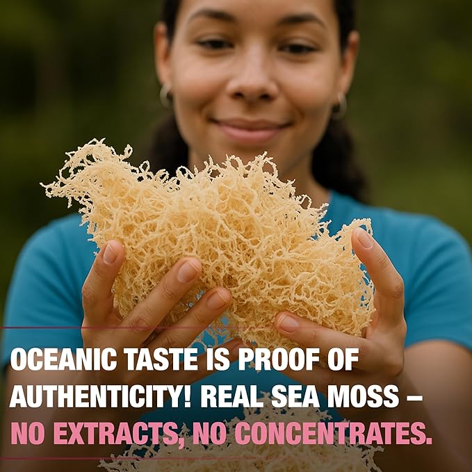 Biolore Wildcrafted Sea Moss Gel - Elderberry 16 oz - Flavored Sea Moss Gel with Essential Vitamins &amp Trace Minerals - Vegan Superfood - Made in USA Gluten-Free No Added Sugar