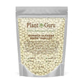 Moringa Seeds Kernel Shelled 16 oz. / 1 lb. - Clean PKM1 Variety - Edible - Moringa Oleifera - Malunggay - Semillas De Moringa - Drumstick Tree - Non-GMO - 2000 to 2400 Seeds Approx.