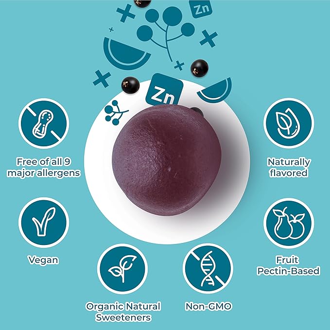 Hyland's Kids Organic Elderberry Plus Gummies Organic Black Elderberry with ZINC and Vitamin C Immune Support for Children 48 Vegan Gummies (Pack of 2)
