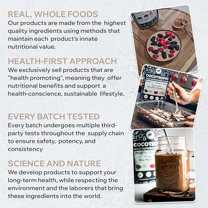 Wild Cocotropic Organic Mushroom Cocoa Mix - Healthy Vegan Hot Chocolate Mix - Organic Cacao Powder Reishi Chaga Maca Turmeric - 3rd Party Tested - Sugar Free - Keto &amp Paleo - (2 packs of 16oz