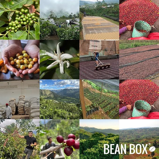 Skeleton Key Decaf - Roasted by Huckleberry Roasters - Freshly Ground Coffee - 12 Ounce Bag