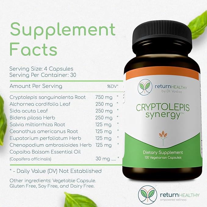 Cryptolepis Synergy Immune Support Vitamins Immune System Booster for Adults Liver Lymphatic &amp Immune Support Supplement Supports Lyme &amp Natural Parasite Defense 120 Capsules 3 Pack