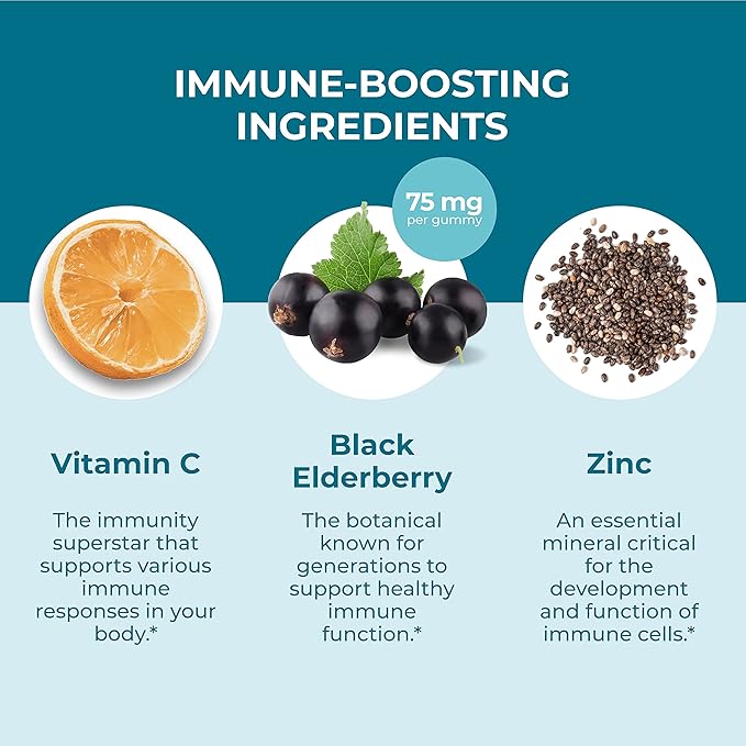 Hyland's Kids Organic Elderberry Plus Gummies Organic Black Elderberry with ZINC and Vitamin C Immune Support for Children 48 Vegan Gummies