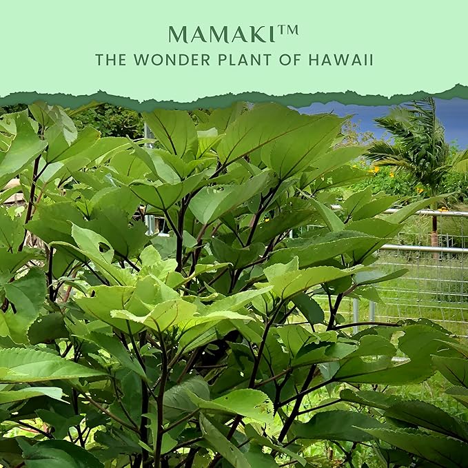 Nakihalani Farm Organically Grown Hawaiian Mamaki Tea (2oz) - Caffeine-Free Herbal Tea - Antioxidant-Rich Supports Digestion &amp Promotes Relaxation