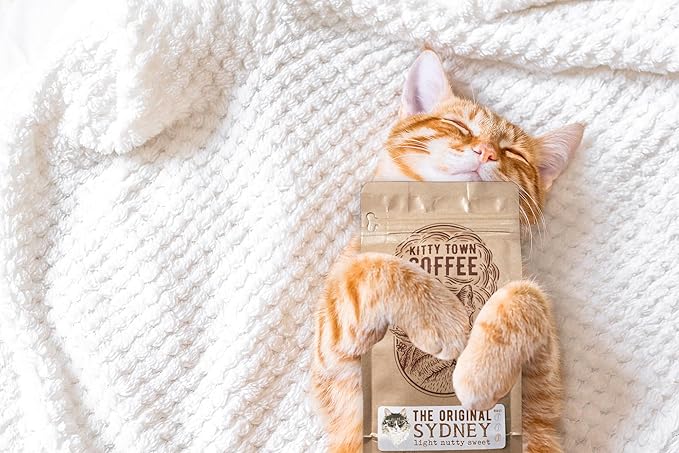 Kitty Town Coffee: The Original Sydney Light Roast Coffee From Brazil 2lb (32oz) Ground