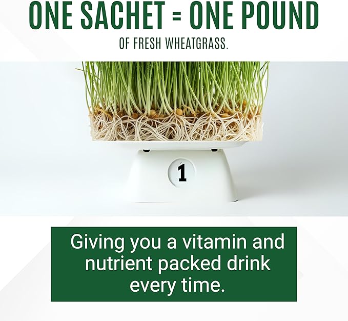 Organic Wheatgrass Powder – 100% Whole Plant with Leaves &amp Roots | Cold-Processed for Nutrient Retention 100+ Vitamins Amino Acids &amp Enzymes | Non-GMO &amp Soil-Free | 66 Travel-Ready Sache