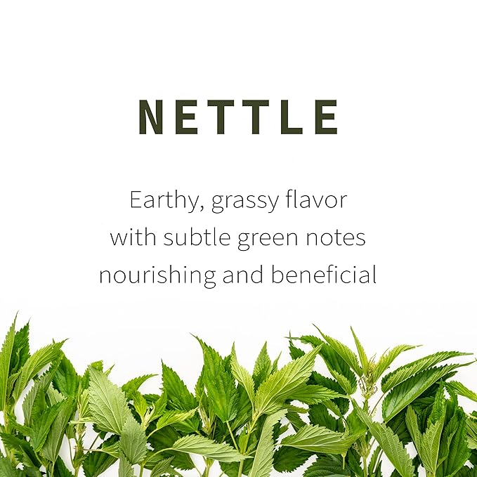 Wild-Harvested Wisconsin Nettle Leaf (Urtica dioica) | Whole Loose Leaf Botanical | 5.5 oz | 77 Servings | Sacred Blossom Farm | Single Source