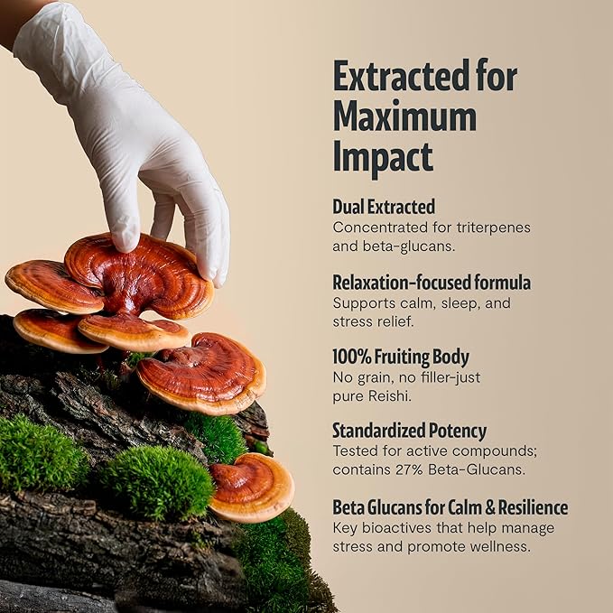 FreshCap Mushrooms Ayurveda Reishi Mushroom Powder 14000mg - Organic Mushroom Extract Supplement Powder Nootropic Red Reishi Supplement Blend (60 Servings)
