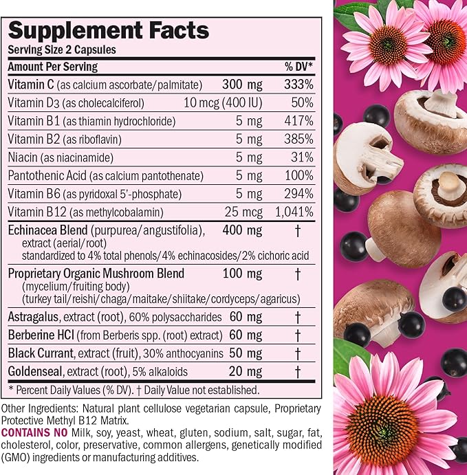 ANDREW LESSMAN Immune Factors 180 Capsules – Echinacea Goldenseal Vitamin C Astragalus Berberine Mushroom Blend Black Currant. Supports and Promotes Immune System and Natural Defenses