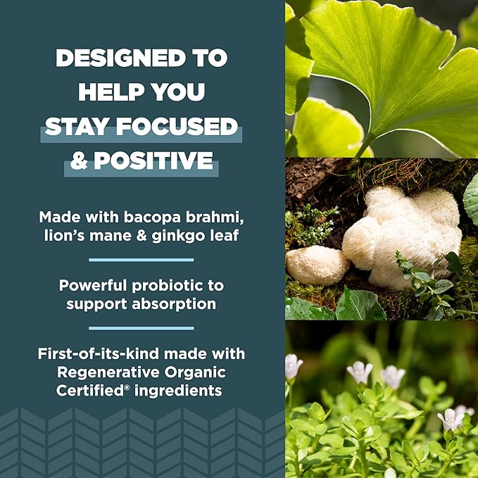 Ancient Nutrition Regenerative Organic Certified Focused Brain Capsules Made with Ginkgo Leaf Lion's Mane to Help Reduce Stress Gluten Free Paleo and Keto Friendly 90 Count