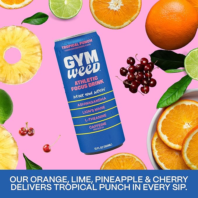 GYM WEED Athletic Focus Drink with KSM-66 Ashwagandha Lion's Mane Mushroom L-Theanine 200mg Green Tea Caffeine with Natural Sweeteners Tropical Punch Flavor 12 Pack