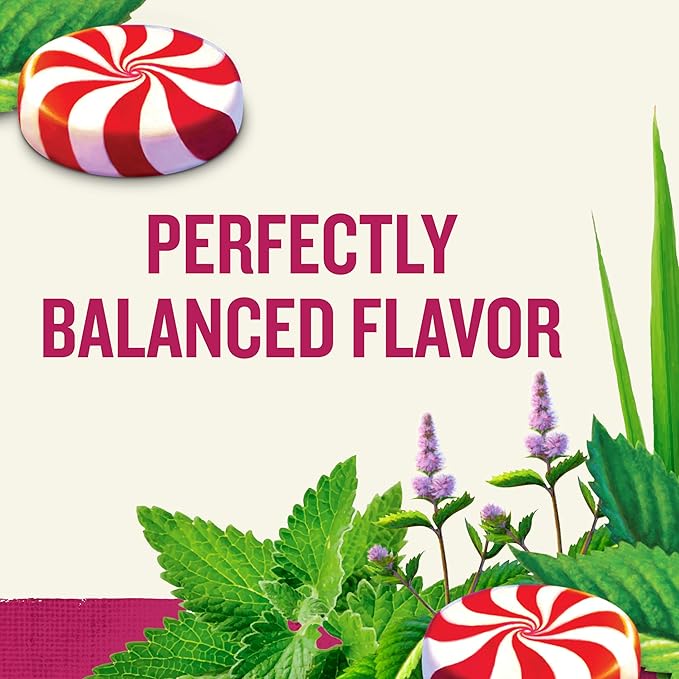 Celestial Seasonings Herbal Tea Peppermint 40 Count (Pack of 6)