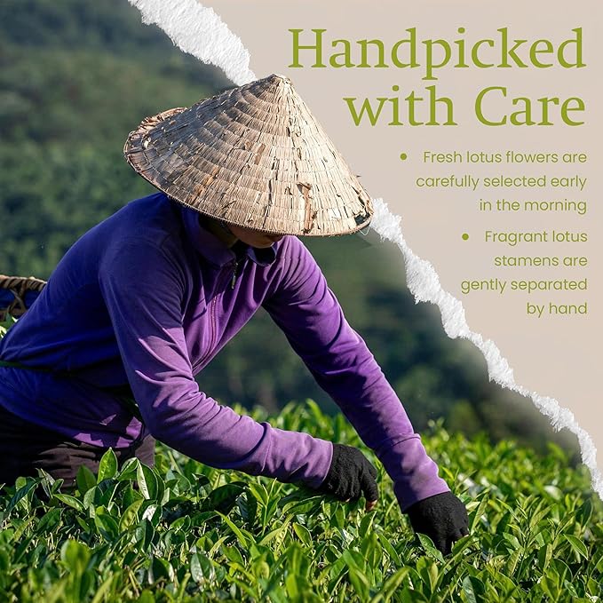 ANNHI TEA Emerald Lotus Tea - 24 Tea Bags Loose Leaf Gentle Sweet &amp Floral Lotus Fragrance Natural Vietnamese Herbal Tea Pack Calming &amp Aromatic Infusion