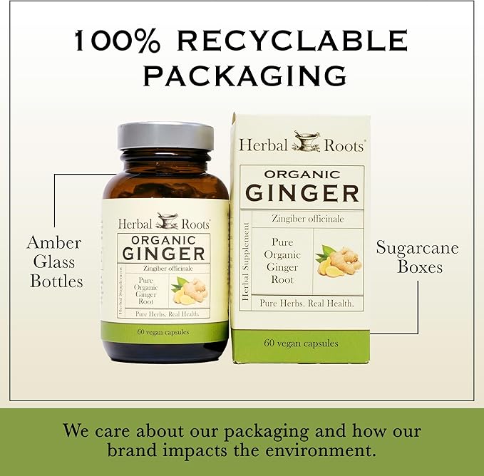Herbal Roots Ginger Supplement | Organic Ginger Root Capsules | 1200 mg of Pure Ginger Powder per Serving | 60 Vegan Capsules