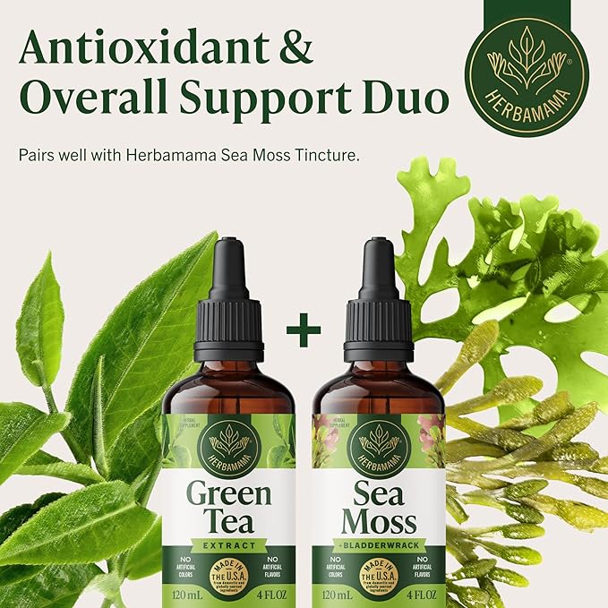 HERBAMAMA Green Tea Drops - Vegan Antioxidant &amp Overall Support with Green Tea Extract Liquid Tincture - Non-GMO Alcohol &amp Sugar-Free Camellia Sinensis Supplement 84-Day Supply