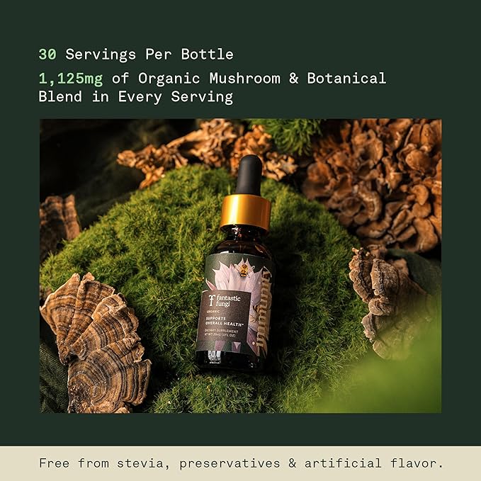 Fantastic Fungi Mushroom Extract Drops - Immunity Elixir with Turkey Tail Mushroom Extract Maitake Elderberries Chaga &amp Astragalus - 5-in-1 Organic Immune Support Supplement 30 Servings 1 fl