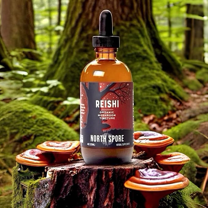 North Spore Organic Reishi Mushroom Tincture (2 oz) | 100% Fruiting Body Extracts | Immune Support Brain Support | Certified Organic Vegan Non-GMO | Adaptogenic Nootropic | Made in USA