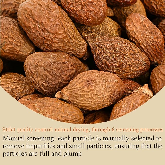 Lingyunxi Niranjan Phal Malva Nut 5.3oz/150g Sterculia Lychnophora Tea Dried Pangdahai Pang Da Hai Tea Chinese Herbal Tea 胖大海 润喉茶