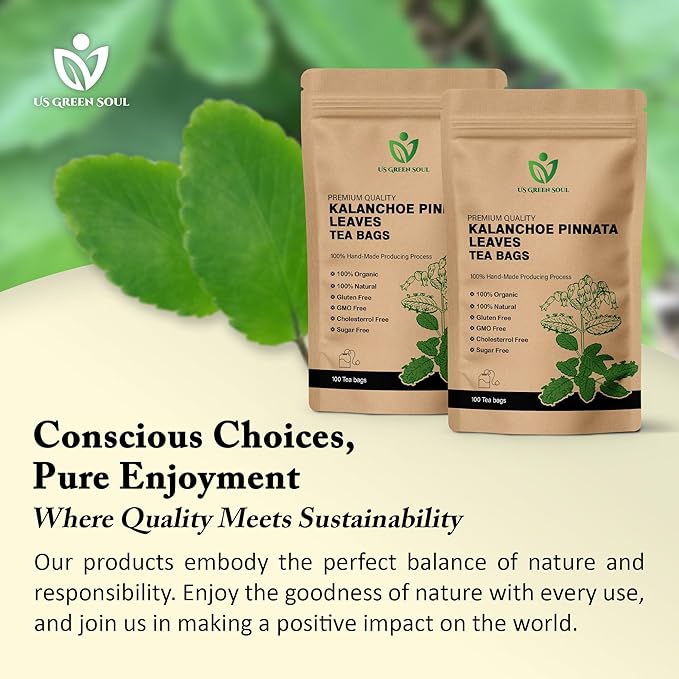 Kalanchoe Pinnata Leaves Tea Bags 50 Tea Bags Healthy Organic Leaves Herbal Tea