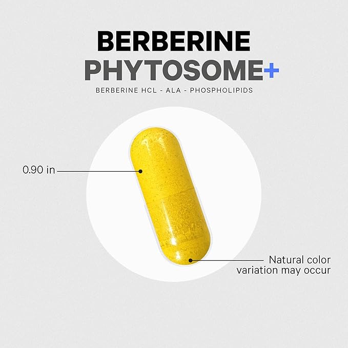 Codeage Berberine Phytosome Supplement - Berberine HCL Alpha Lipoic Acid Phospholipid Complex - 2-Month Supply - Berberine HCL - Berberine Hydrochloride - Gluten-Free Non-GMO - 60 Capsules