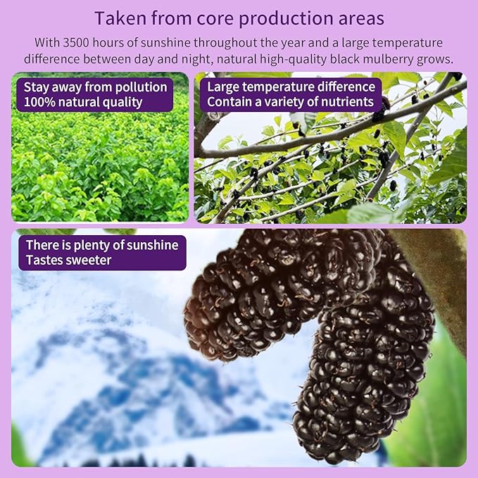 DOZO Dried Black Mulberries 15.5oz/440g Black Mulberry Large Sun-dried Mulberries Vegan Snack＆Baking No sugar add 桑葚干 黑桑葚