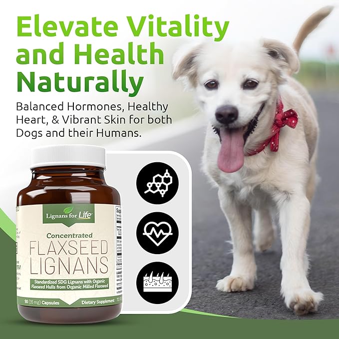Lignans For Life Flaxseed Lignans for Dogs + SDG - Omega 3 Fatty Acids High Fiber Antioxidants Helps Improve Shiny Coat Digestive &amp Heart Health Lignans 35mg 90 Flaxseed Capsules 2 Pack