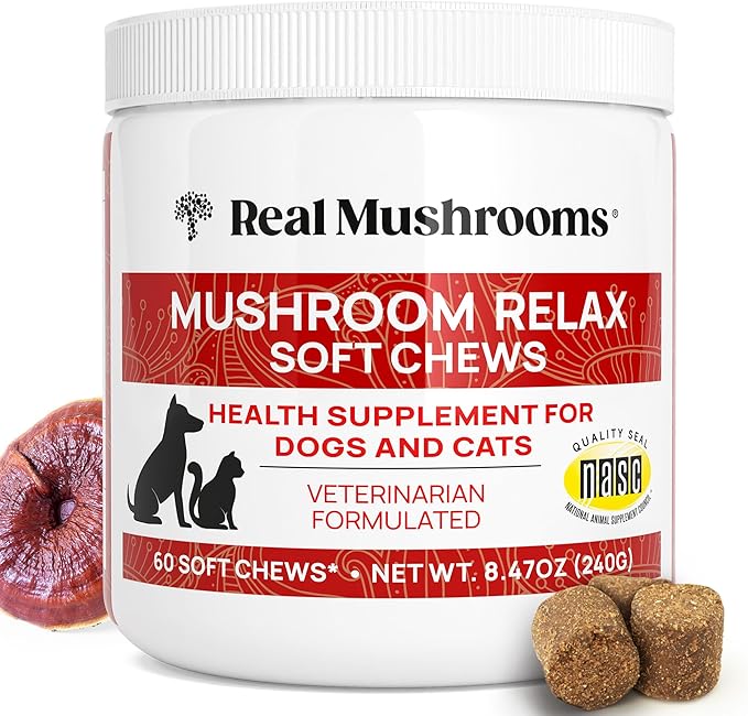 Calming Chews for Dogs &amp Cats – Soft Chews with Reishi &amp Lion’s Mane for Daily Composure – for All Breeds &amp Sizes – Calming Treats for Dogs: 1 Chew/20 lb Daily Cats: ¼ Chew Twice Daily –