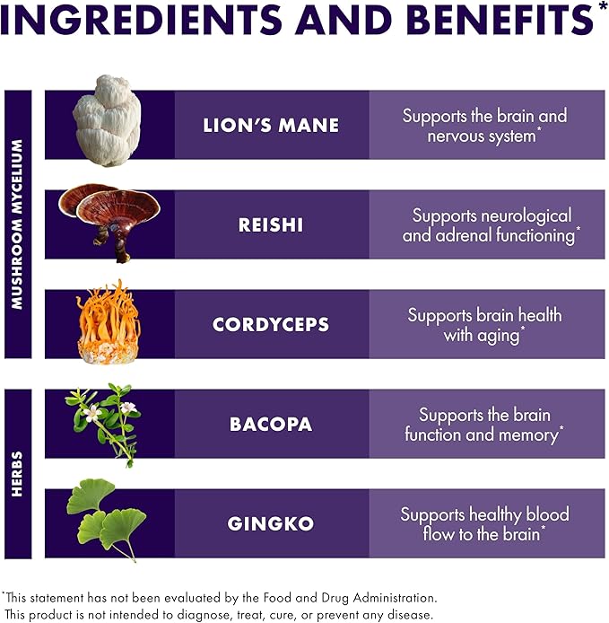 Host Defense MycoBotanicals Brain* Capsules - Brain Support Supplement with Lion's Mane Reishi &amp Cordyceps Mushroom - Herbal Supplement for Memory &amp Focus Support - 60 Capsules