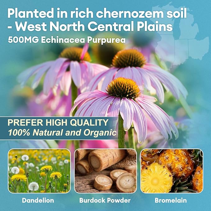 Totaria Lymphatic Drainage - Reduce Lymph Swelling with Echinacea Dandelion Burdock Bromelain Vitamin C Zinc Selenium Proprietary Herbal Blend Lymph MD System Support 120 Counts