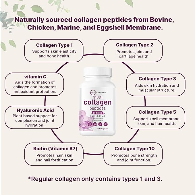 Micro Ingredients Multi Collagen Complex for Women &amp Lions Mane Supplement 240 Veggie Capsules Bundle 2 Pack | Grass-Fed Collagen Peptides | Superfood Mushroom Antioxidants with L-Ergothioneine
