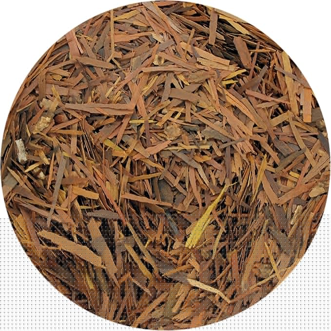 Special Tea Company Lapacho Herbal Tea Single Serve Cups (Pack of 10)