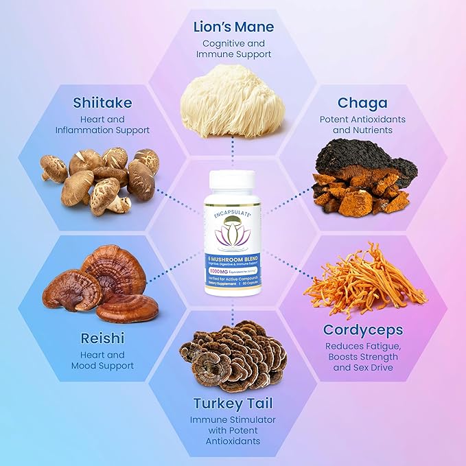 ENCAPSULATE 6 Mushroom Blend – Reishi Chaga Turkey Tail Cordyceps Lion’s Mane &amp Shiitake 8:1 Mushroom Extract – Nootropic &amp Adaptogen Mushroom Supplement for Gut Brain &amp Immune Suppor