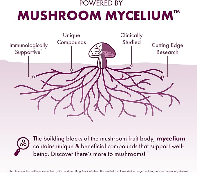Host Defense MycoBotanicals Microbiome* Powder - Digestive &amp Immune Health Support Supplement - Gut Health Supplement with Turkey Tail Lion's Mane &amp Reishi - 3.5 oz (33 Servings)*
