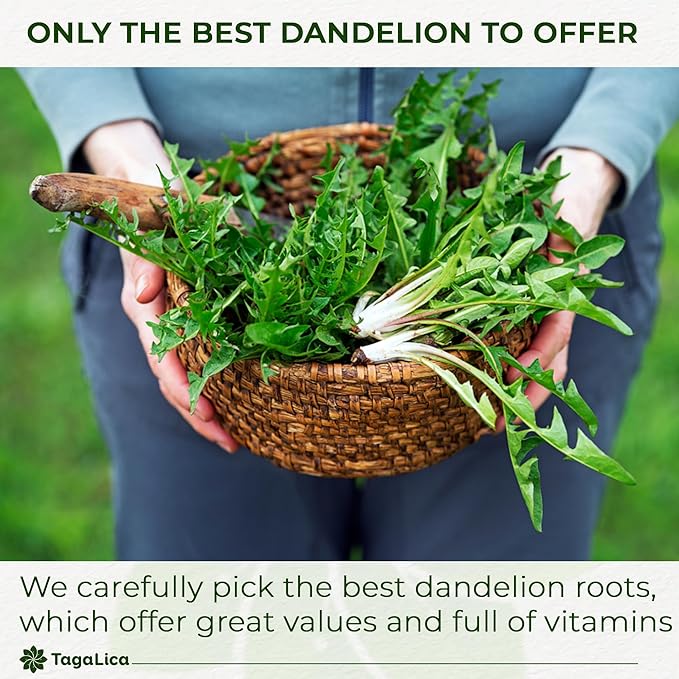 Premium 25 oz Dandelion Root Powder 100% Natural and Pure from Dandelion Root No Additives No Gluten No Sugar Vegan