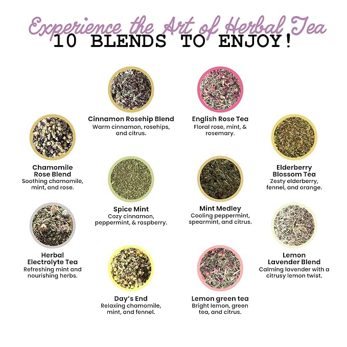 Smoke Camp Crafts Loose Leaf Herbal Tea Gift Set with Stainless Steel Infuser 10 Unique Flavors Handcrafted USDA Organic Tisane Tea Sampler Pack of 10 Jars