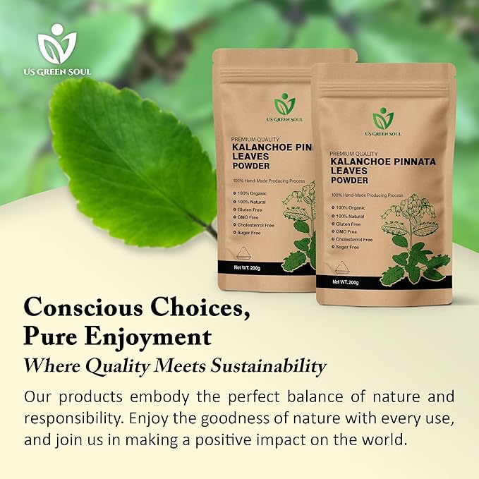100g Kalanchoe Pinnata Leaves Powder - Healthy Well-Cleaned Dried Organic Leaves Powder No Additives 100% Pure &amp Natural