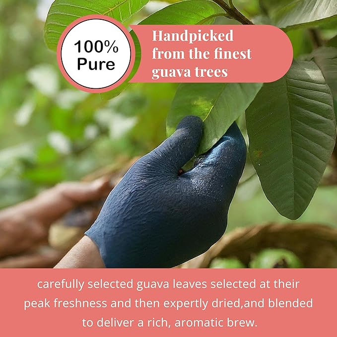Akshit Dried Guava Leaves Hojas De Guayaba Secas13oz Natural Dried Leaves Aromatic Guava Leaf Tea Vegan Non GMO.