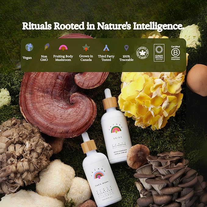 Rainbo - Lion's Mane Mushroom Tincture - Alcohol Free - Dual Extract Mushroom Supplement - Brain Support Focus Memory Liquid Lion's Mane Supplement Vegan Non-GMO 3.4 fl oz.