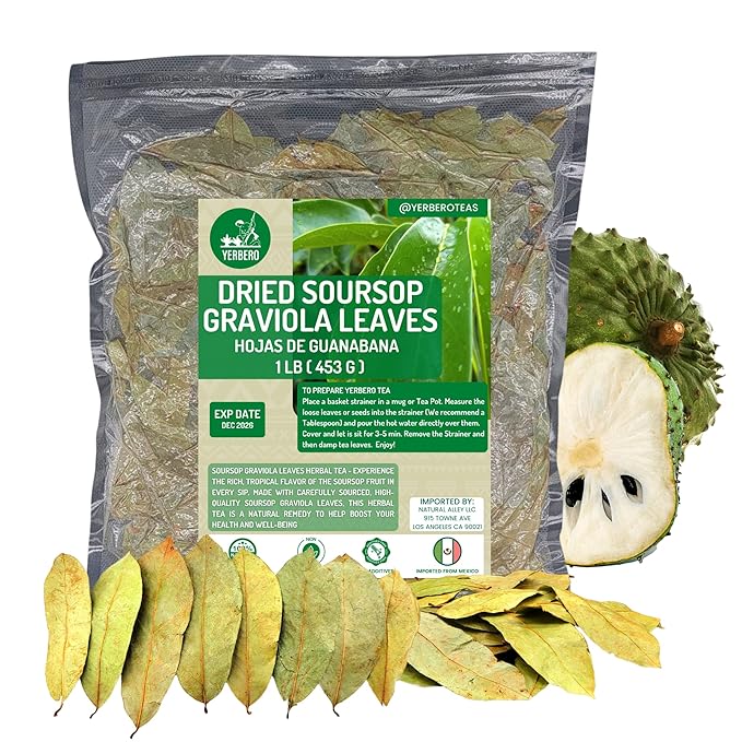 Yerbero - Whole Wildcrafted Dried Graviola Soursop Leaves 1 LB (453g - 1300+ Leaves Per Bag) Hoja De Guanabana Seca Crafted By Nature | Vacuum Sealed for Freshness | From Mexico | Premium Quality.