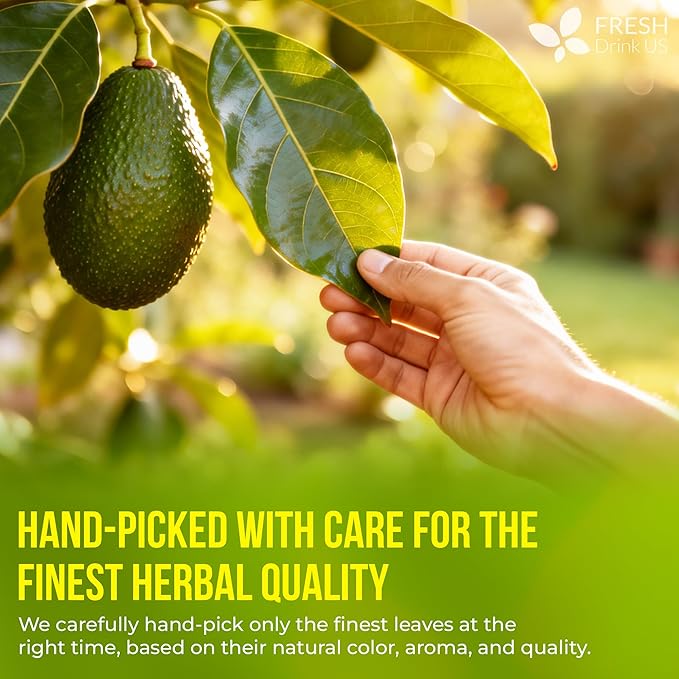 FreshDrinkUS Avocado Leaf Tea Bags | 75 Count | Premium Dried Avocado Leaves Herbal Tea – Caffeine Free Botanical Tea – Fresh Smooth &amp Earthy Flavor. Sugar Free. Vegan